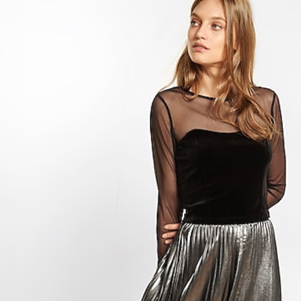 Express Velvet And Mesh Cropped Top